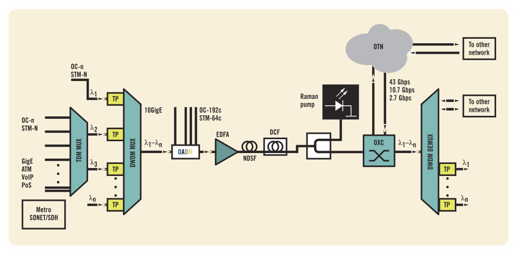 DWDM-OTN